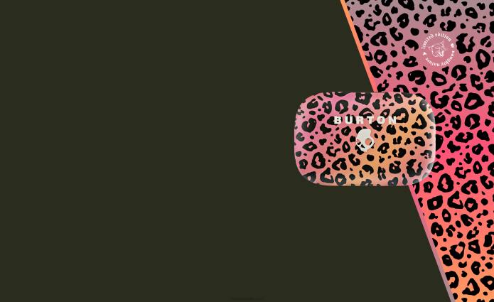 Skullcandy SKULLCANDY X BURTON Push Active True Wireless Earbuds T28B2 Naughty Nature